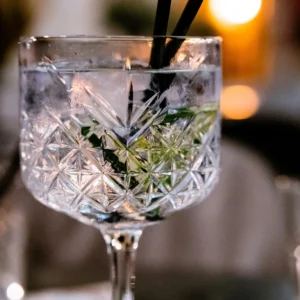 Taller de gin tonic para principiantres