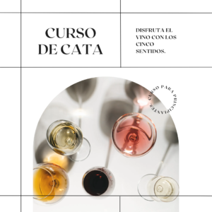 Blog curso de cata de vinos